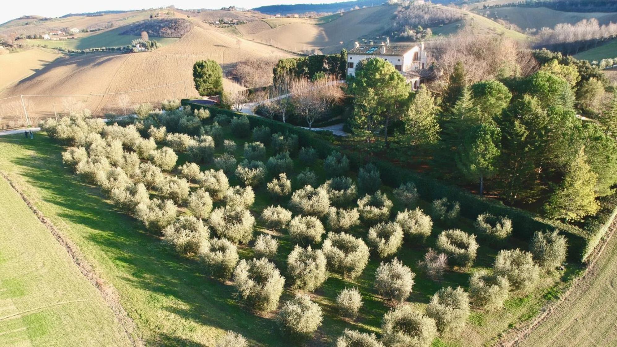 Monterosato Country House Monterubbiano ภายนอก รูปภาพ